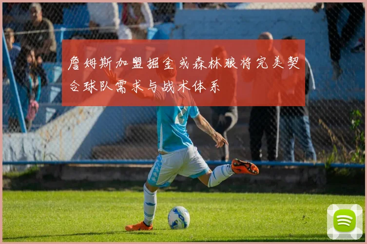 詹姆斯加盟掘金或森林狼将完美契合球队需求与战术体系
